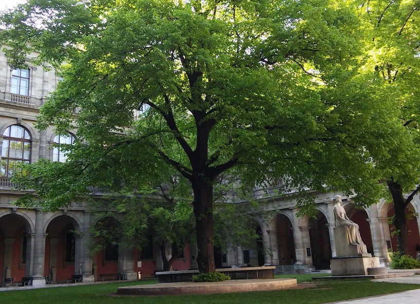 Dieser eindrucksvolle Baum steht im Arkadenhof der Universität Wien. Wien, Arkadenhof Universität, Baum, historisch, Denkmal, Rundfenster